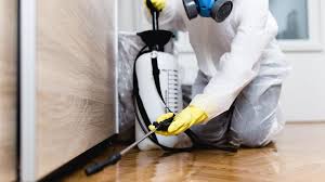 Reliable Eaton Rapids, MI Pest Control Solutions