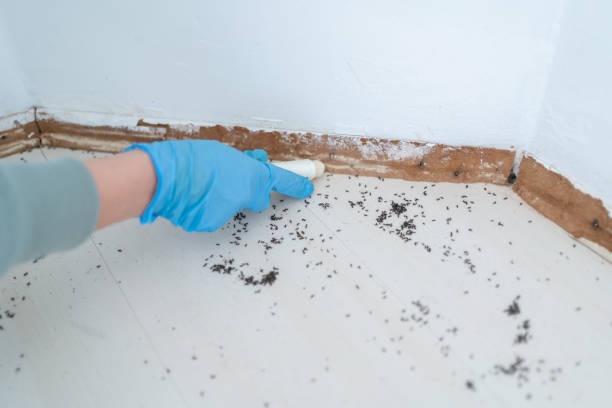 Best Residential Pest Control  in Eaton Rapids, MI